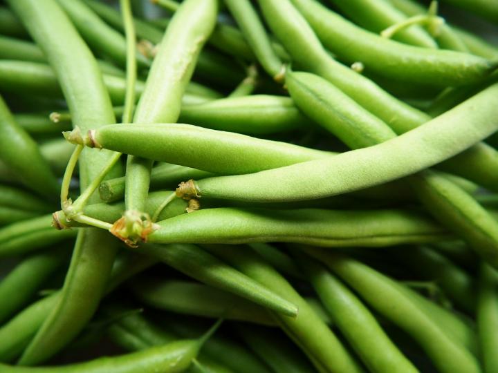 green-beans-2707996_1920_full_width.jpg